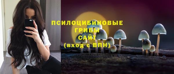 бутират Алзамай