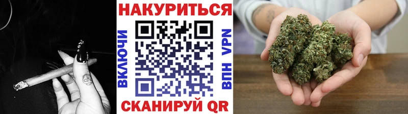 где купить   Чкаловск  Бошки марихуана гибрид 